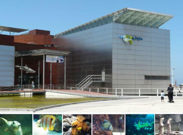 Primera Linea Playa+Parking Gratis Gijón Eksteriør billede